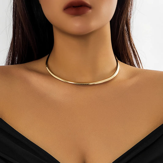 Circle Torques Necklace